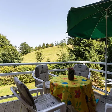 公寓 Mountain View In Kurort With Garden