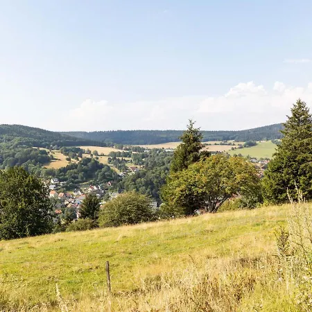 Mountain View In Kurort With Garden