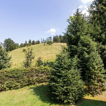 公寓 Mountain View In Kurort With Garden 布罗特罗德