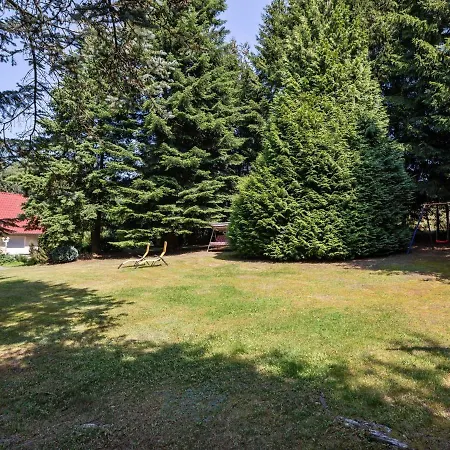 公寓 Mountain View In Kurort With Garden *